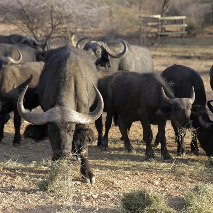 UN weather report: Climate woes bad and getting worse faster